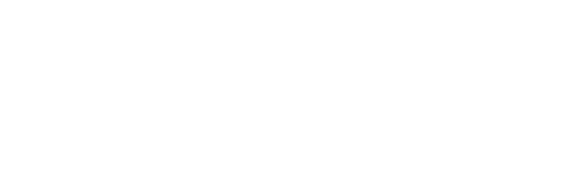 AccessBridge International